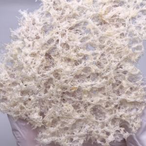 เห็ดหูหนูขาวออร์แกนิก (Tremella Fuciformis) แบบแห้ง  ทั้งชิ้น  เหมาะสำหรับทำซุปและของหวาน - Product Image 3