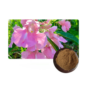 10:1 4:1 5:1 20:1ผงเฮนน่า Lawsonia inermis ธรรมชาติสำหรับ<span class=keywords><strong>ผม</strong></span> - Product Image 2