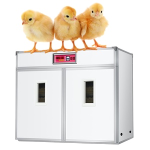 Incubadora Industrial de Huevos Profesional Nueva con Capacidad para 176-5280 Huevos, de PP, con Volteo Automático y Control de Temperatura de Alta Precisión - Product Image 1