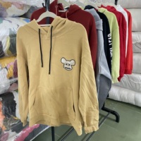 Lots de sweats à capuche d'occasion pour boutiques – Vente en gros de sweats à capuche de seconde main pour la revente