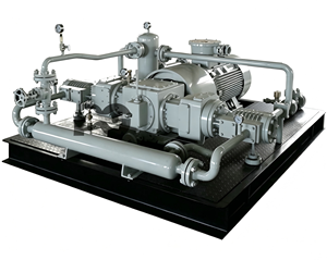Medical Grade Oil Free Screw Compressor Oxygen Process Compressor Low <b>Vibration</b> Quiet Operation Industrial Oxygen Air Compressor - Product Image 3