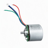 Motor sin Escobillas de Imán Permanente BL4030W 24V, Rotor Externo de 40mm de Diámetro Exterior, IP54, Control PWM para Pistola de Masaje Fascial Portátil