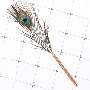 Golden Feather <b>Ballpoint</b> <b>Pen</b> White Ostrich Quill Stainless Steel Body Novelty Writing Instrument Black Ink Laser Engraving <b>Pen</b> - Product Image 5