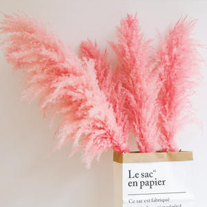 Pampas Rosadas, Decoración Perfecta para Bodas y Hogar, Flor Seca Grande y Esponjosa, Hierba de Pampas Seca Natural - Product Image 1
