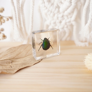 Cadeaux originaux en résine, artisanat en polyrésine, presse-papiers en acrylique avec un véritable spécimen de scarabée vert séché à l'intérieur - Product Image 3