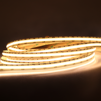 Bande LED IP65 en PVC pour éclairage de rue et lumières décoratives 3000K-6000K 24V/110V/220V