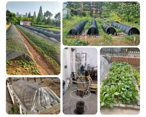 Piquets de plantes en fibre de verre résistants aux UV, réutilisables pendant 10 ans, avec service de découpe, tailles personnalisées pour serres - Product Image 2