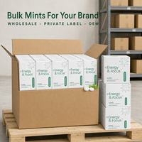 OEM Energy Focus Mints, menthes naturelles, caféine, L-théanine, sans sucre, menthe verte, complément alimentaire, vente en gros, en vrac, étiquette privée