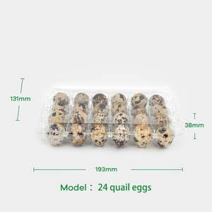 Nhà Sản Xuất Vỉ Quá Trình Pet Chim Cút Khay Trứng Với 24 Lỗ Trứng Thùng Carton Cho Bao Bì Thực Phẩm Chim Cút & Trứng Có Sẵn Cho Bán - Product Image 2
