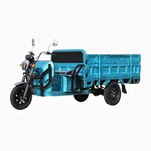 最佳价格双减震货运三轮车电动重型电动自行车电动三轮车2人/差速器 - Product Image 3