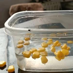 Perles flottantes pour la pêche à la carpe, appâts souples aromatisés au maïs jaune, boules flottantes en silicone, accessoires, 30 pièces, rivière, lac, ruisseau - Product Image 4