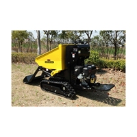 ANT Mini Dumper BY600 Mini Loader Rupslader Zelfladende Mini-lader voor thuisgebruik met Briggs & Stratton motor en SAUER-DANFOSS hydrauliek