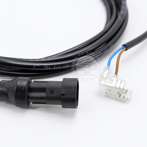 Oem Op Maat Gemaakte 2-polige Auto-Connector Zwarte Harnassen - Product Image 3