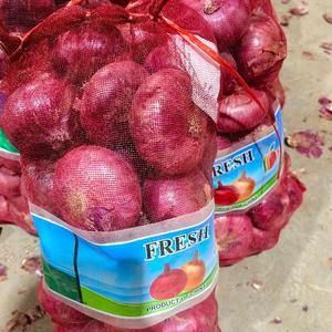Cebollas Rojas de Alta Calidad, las <span class=keywords><strong>Mejores</strong></span> Verduras Frescas, Peladas y Exportadas, Cebollas Rojas Higiénicas y Frescas - Product Image 2