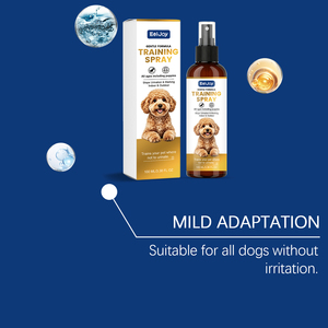 Spray d'apprentissage de la propreté pour chiens, correcteur de parfum, pour la formation aux habitudes et l'hygiène quotidienne dans les zones désignées, personnalisable pour votre marque - Product Image 4