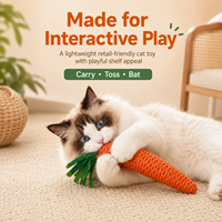 Katten speeltje van papieren touw met geluid voor interactief binnen spelen