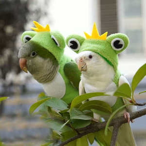 Wholesale Cotton Cute Frog Cosplay Pet Bird <strong>Clothes</strong> - Product Image 4