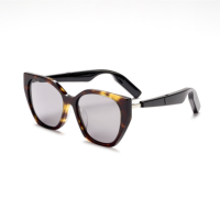 Lunettes de soleil audio intelligentes AI haut de gamme, lunettes de soleil musicales de haute qualité, lunettes de soleil intelligentes à charnières en alliage de titane et verres polarisés