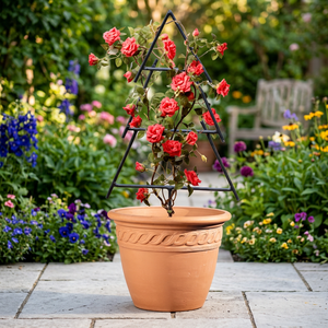 Pot de fleurs avec support en treillis métallique à motif corde pour roses grimpantes - Product Image 4