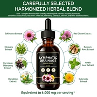 Gouttes liquides botaniques OEM, complément alimentaire à base de plantes, étiquette privée, emballage personnalisé en bouteille et en boîte, 60 mL