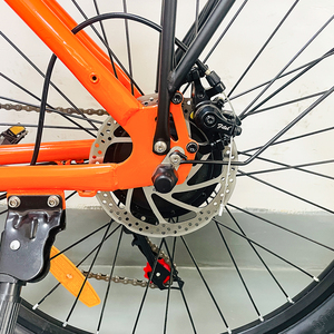 Bicicleta Eléctrica Personalizada con Logotipo, 26 Pulgadas, Fabricante de Bicicletas Eléctricas Urbanas, Bicicleta Eléctrica Híbrida con Canasta Delantera y Portaequipajes Trasero - Product Image 4