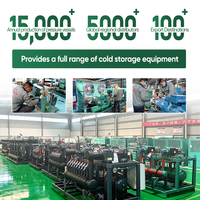 Unité de condensation à compresseur à piston économe en énergie ; Unité de réfrigération à piston refroidie par air pour la conservation de la viande.