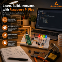 Chip RP2040 de Doble Núcleo Compatible con Python y Raspberry Pi PICO