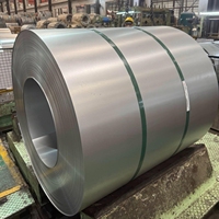 لفائف فولاذية مغلفنة بالغمس الساخن DX51D SGCC Z40-Z275 مقاومة للتآكل، سماكة 0.12-5.0 مم، عرض مخصص لأعمال التسقيف والبناء