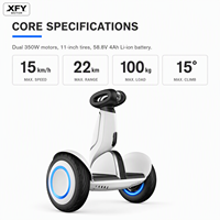 XFY 2 Tekerlekli Elektrikli Kendinden Dengeleyici Scooter 11 İnç Yetişkin Çift 700W Motor Maksimum Yük 100kg Pil Dış Mekan Ulaşım Aracı