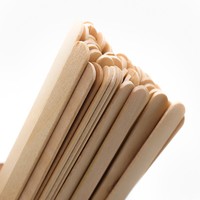 Bâtonnets de crème glacée en bois jetables écologiques et durables 114*10*2mm, bords arrondis, vente en gros, optez pour le vert