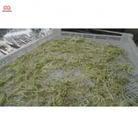 Commerciële professionele installatie voor de verwerking van gedroogd fruit en groenten, voedsel- en groentendroogmachine
