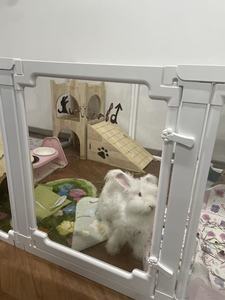 Klarer Acryl Luxus Outdoor Hunde kiste Laufs tall Hoch leistungs transparente Kunststoff Welpen Zaun Räder Einfach zu montieren Bunny <span class=keywords><strong>Cat</strong></span> Bett - Product Image 3