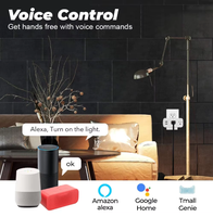 Prise US 16A Tuya WiFi Smart Double Prise USB Compatible Google Home Alexa Adaptateur de Prise 2-Ac IP33 Étanche Anti-Sabotage