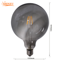 Ampoule LED décorative G125 alimentée en courant continu E27 8W avec télécommande, filament rétro Edison, globe 2700K blanc chaud, garantie 1 an