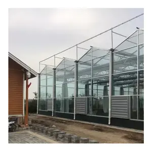 Venlo Type Greenhouse Stable Structure Glass Hot-dip Galvanized Steel Pipe Commercial Greenhouse for Agriculture Use >30 Years