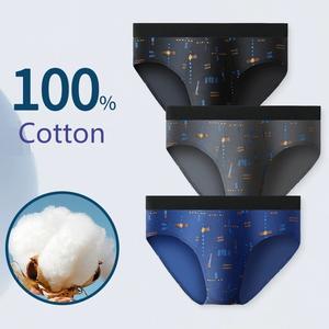 Calzoncillos de Algodón 100% para Hombre con Logotipo Personalizado, Venta al por Mayor, Cintura Media, Talla Grande, Antibacterianos, Ropa Interior Sexy para Hombre - Product Image 1