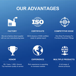 SH-ABC जस्ता मिश्र धातु फिंगरप्रिंट पैडलॉक कीलेस एंटी-चोरी स्मार्ट लॉक बुद्धिमान सुरक्षा इलेक्ट्रॉनिक कैंडैडो फर्नीचर लॉक - Product Image 6