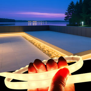 Пользовательские IP66 водонепроницаемый изогнутый фасад здания светодиодные полосы света Гибкие неоновые огни для наружного ландшафта терраса красивая - Product Image 1