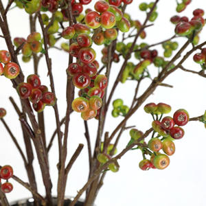 Vente en gros <span class=keywords><strong>de</strong></span> <span class=keywords><strong>fruits</strong></span> et fleurs simulés grappes d'argousier et brindilles <span class=keywords><strong>de</strong></span> saule des neiges pour la décoration <span class=keywords><strong>de</strong></span> la maison pour Halloween Noël - Product Image 2