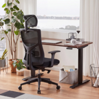 Chaise de bureau ergonomique moderne en maille noire avec cadre en plastique réglable, vérin à gaz chromé et fonction pivotante