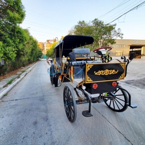 Electric Horse Carriage Custom Made Black Sightseeing Carriage Wedding Horse Carriage for Sale Special Transportation - Product Image 3