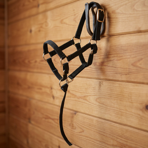 Harnais de Selle Anglaise de Haute Qualité pour Cheval, Équipement d'Équitation Polo, Bandeau de Nez Rembourré en Tissu, Équipement de Spectacle Polyvalent, Vente en Gros OEM - Product Image 4
