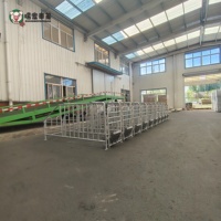 Bâtiments de gestation pour truies, fabricant direct usine, équipement d'élevage porcin en acier galvanisé, vente en gros, export