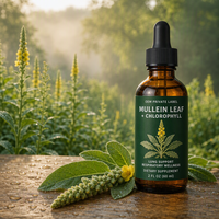 Gouttes liquides de feuilles de molène naturelles US/UK, marque privée OEM/ODM, booster anti-gueule de bois, complément alimentaire oral à base de feuilles, supplément de santé à base de plantes