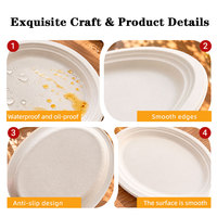 Plaque ovale de Bagasse jetable biodégradable écologique