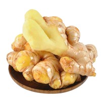 Gingembre jeune frais biologique de haute qualité certifié USDA NOP COR 100g, peau humide, boîte en plastique Proharvest