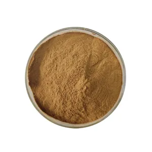 Calidad superior Sapindus Mukurossi Peel Extract 70% Saponins Soapberry Powder