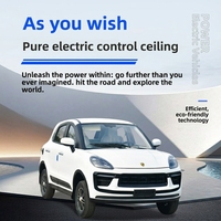 Nouveau véhicule électrique à quatre roues pour usage domestique, nouvelle énergie pour femmes, double usage essence-électrique, véhicule électrique à quatre roues