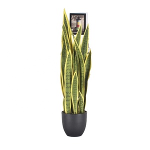 Bonsái Artificial, <span class=keywords><strong>Planta</strong></span> Serpiente Artificial, Agave Artificial, <span class=keywords><strong>Planta</strong></span> <span class=keywords><strong>Lengua</strong></span> de Madre Artificial para Decoración de Escritorio en el Hogar y la Oficina - Product Image 4