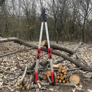 Heavy Duty Pruning <b>Shears</b> Steel Telescopic Long Handle High Branch Cutting Garden <b>Tool</b> For Trees And Shrubs - Product Image 1
